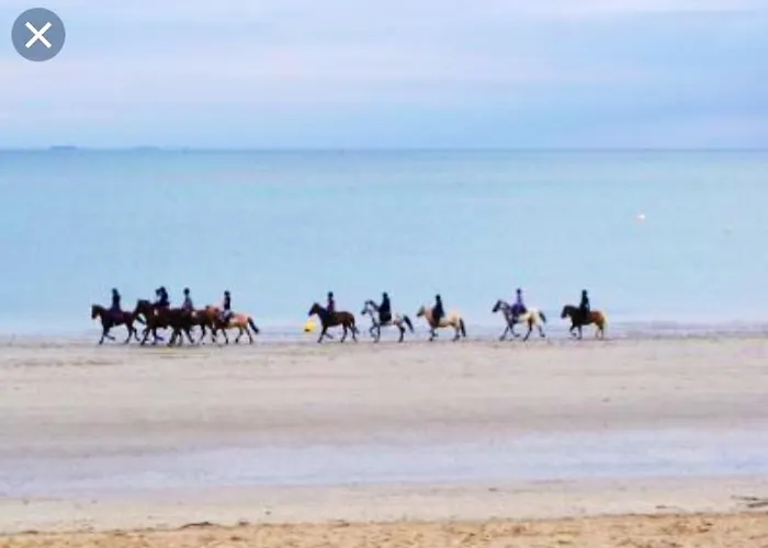 Cosy A Saint-andre-des-eaux De 47 M² Avec Jardin *